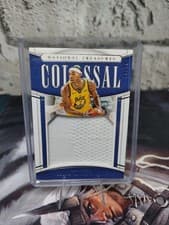 2019-20 National Treasures Colossal Jersey #CLM-WCS Willie Cauley-Stein 19/49